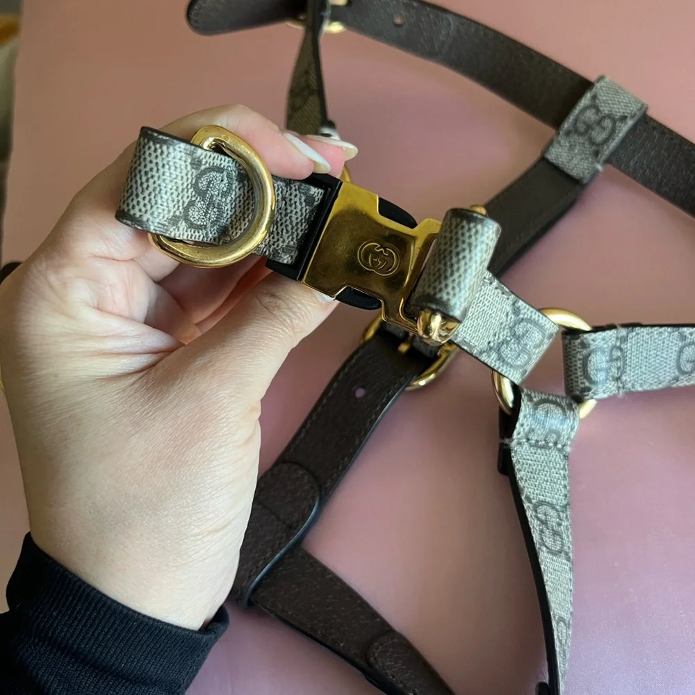 Gucci Dog Harness